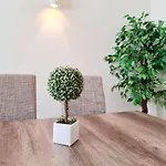 Apartman Sitio Do Raposo - - Wifi, Ac, & Center 200m *